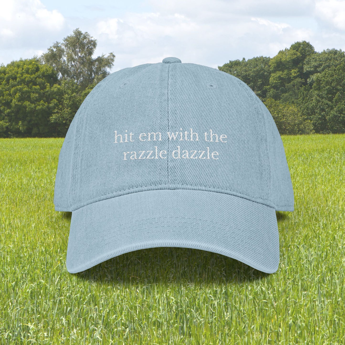 Razzle Dazzle Embroidered Hat