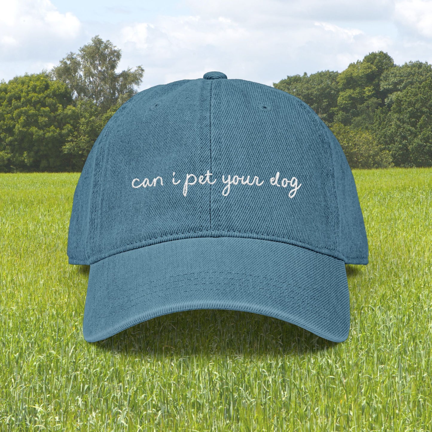 Can I Pet Your Dog? Embroidered Hat