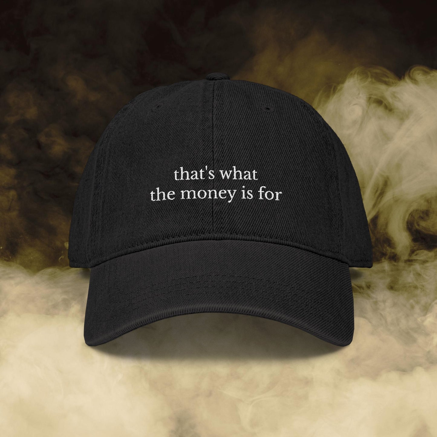 That's What the Money Is For Embroidered Hat