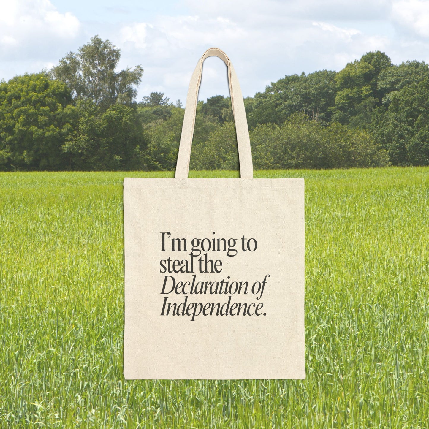 Declaration of Independence Tote Bag