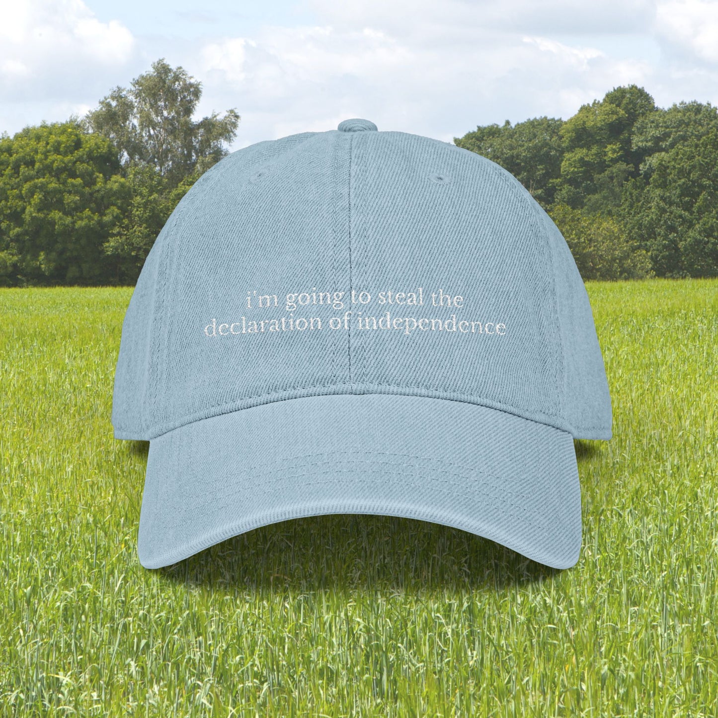 National Treasure Embroidered Denim Hat