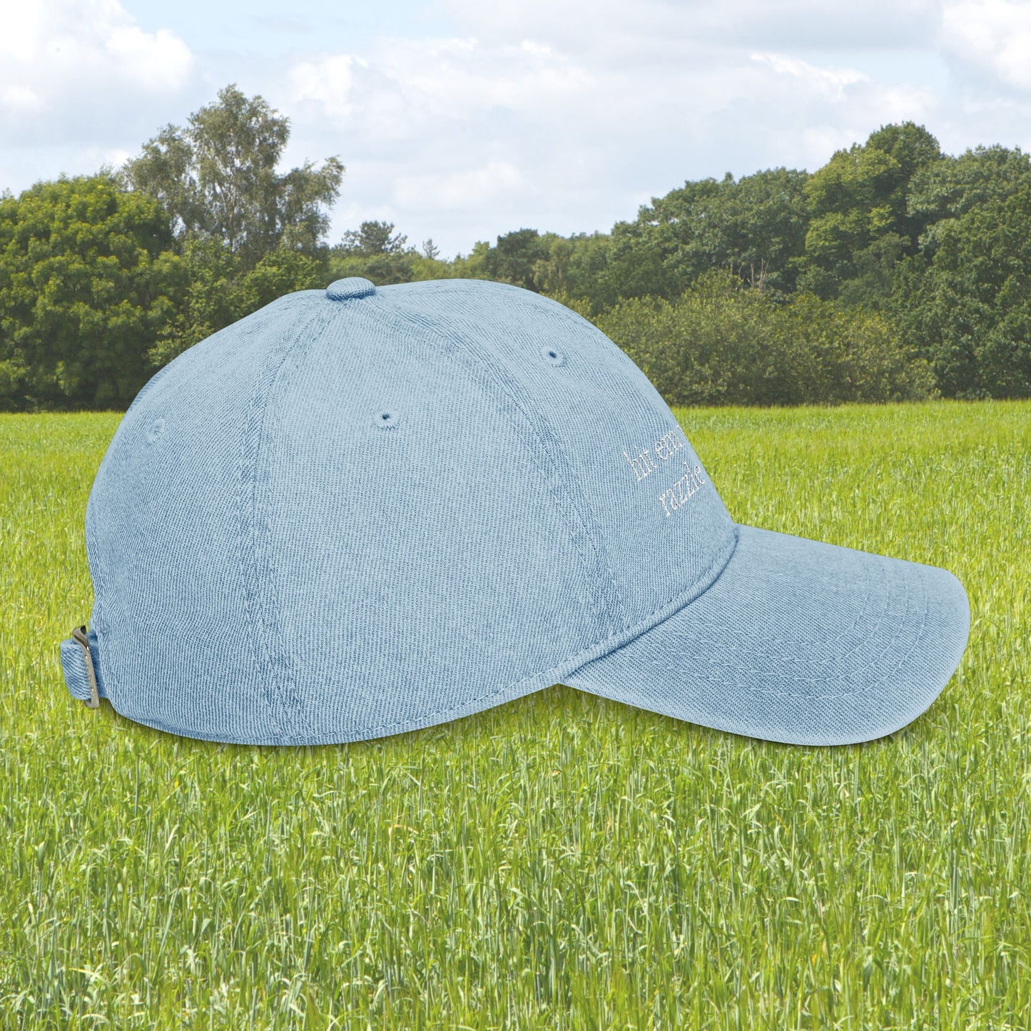 Razzle Dazzle Embroidered Hat