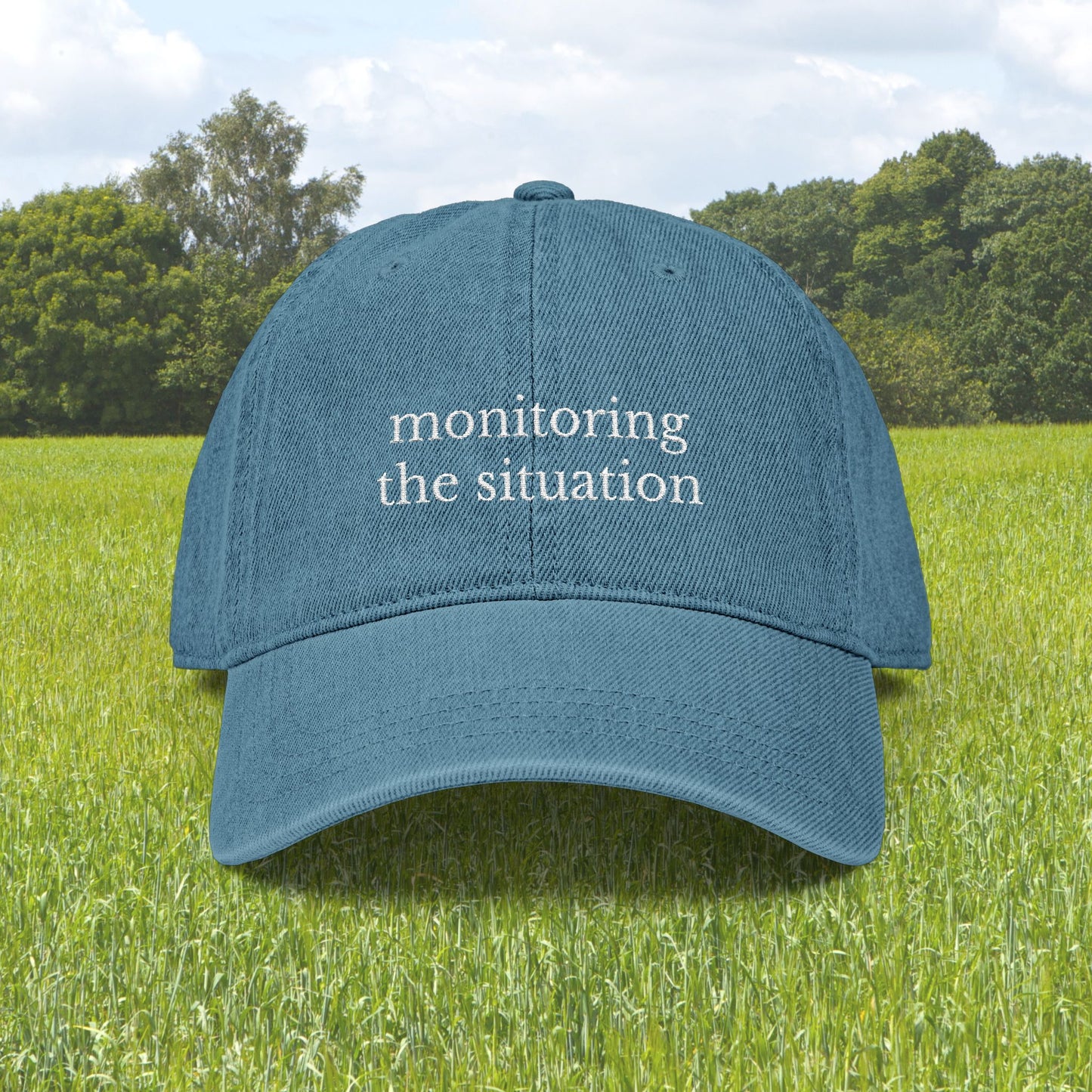 Monitoring the Situation Embroidered Hat