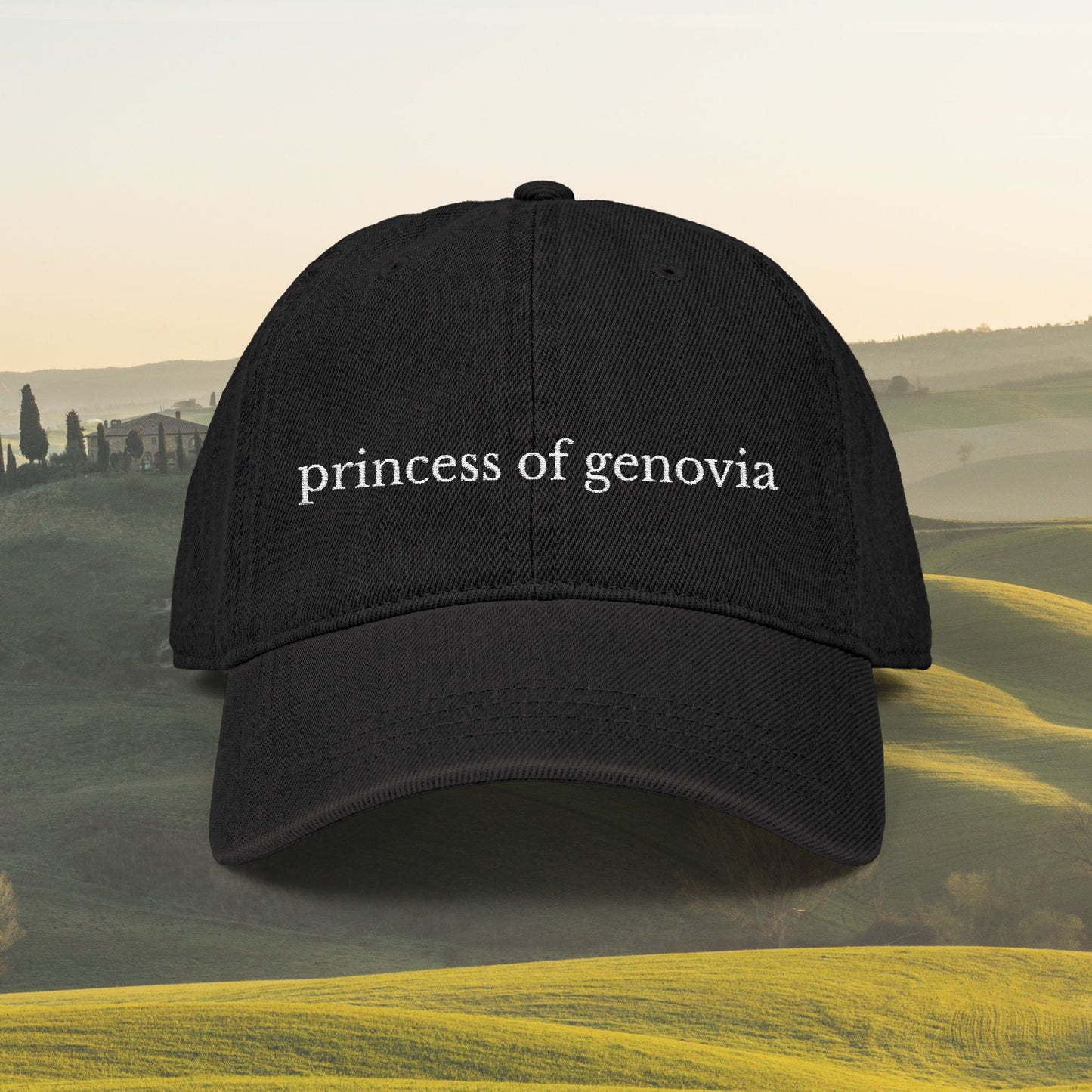 Princess of Genovia Embroidered Denim Hat